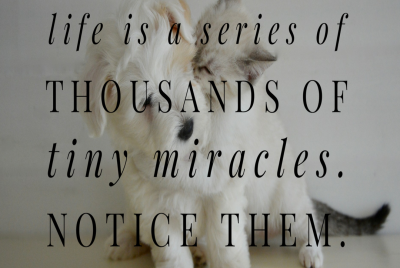 miracle quote