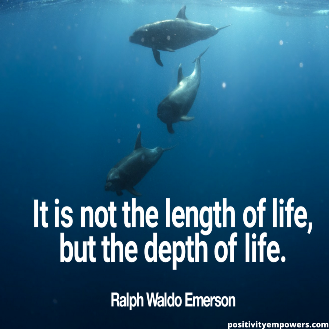 a life well lived quote