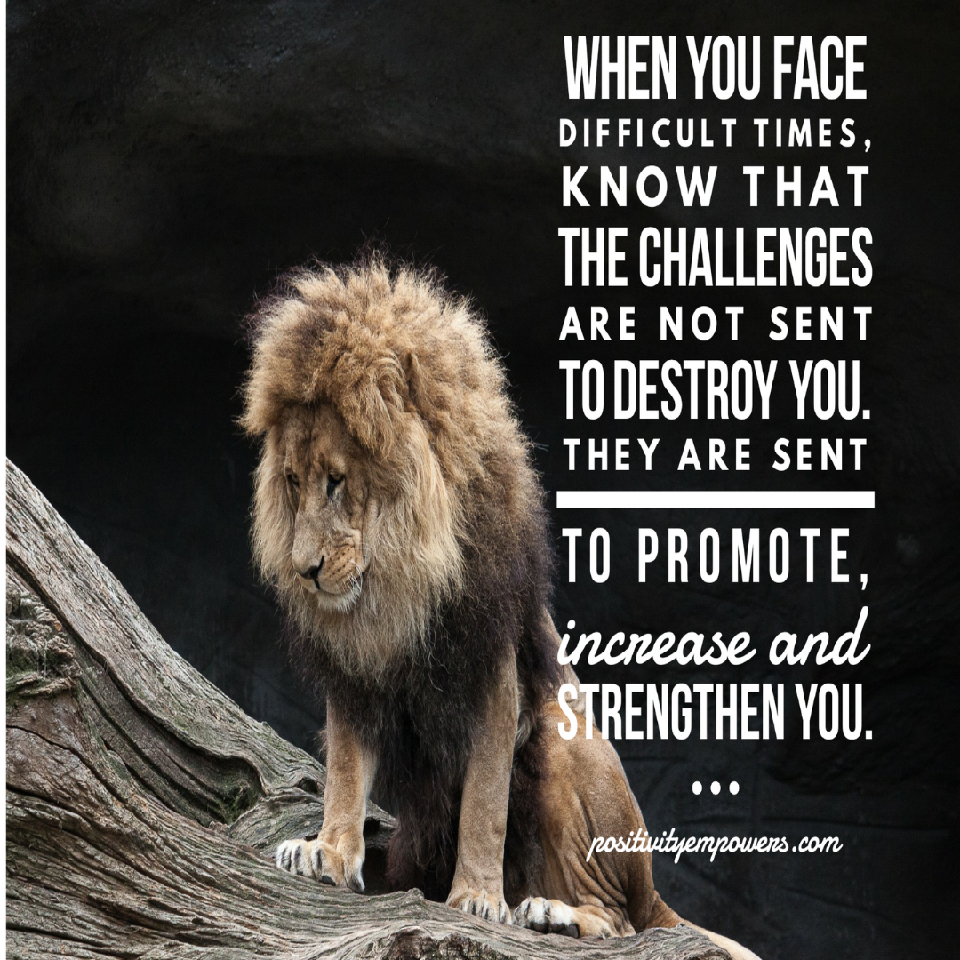 a life well lived quotes