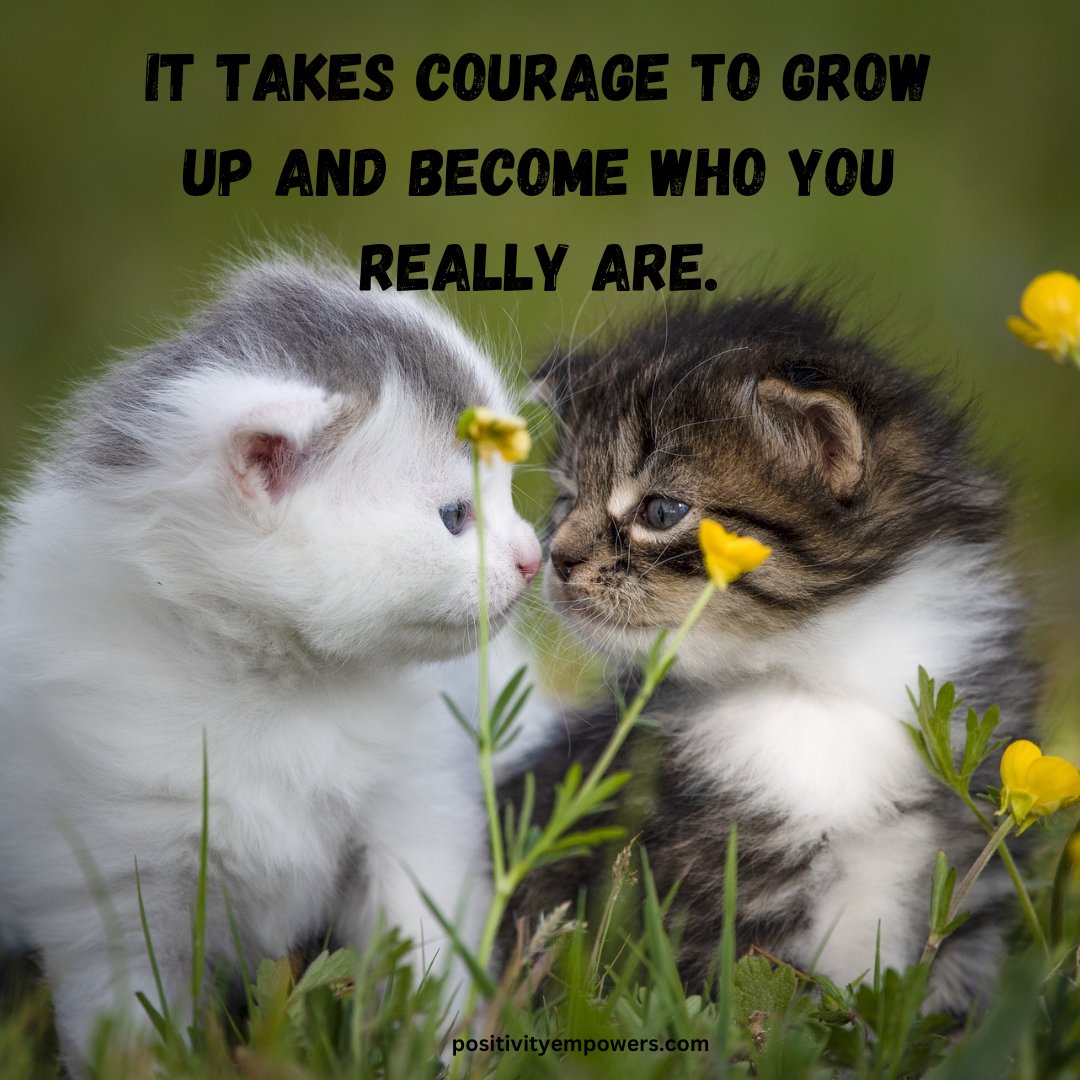 quote about life journey